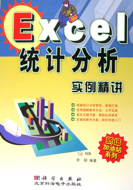 Excel统计分析实例精讲(附光盘)/职场加油站系列