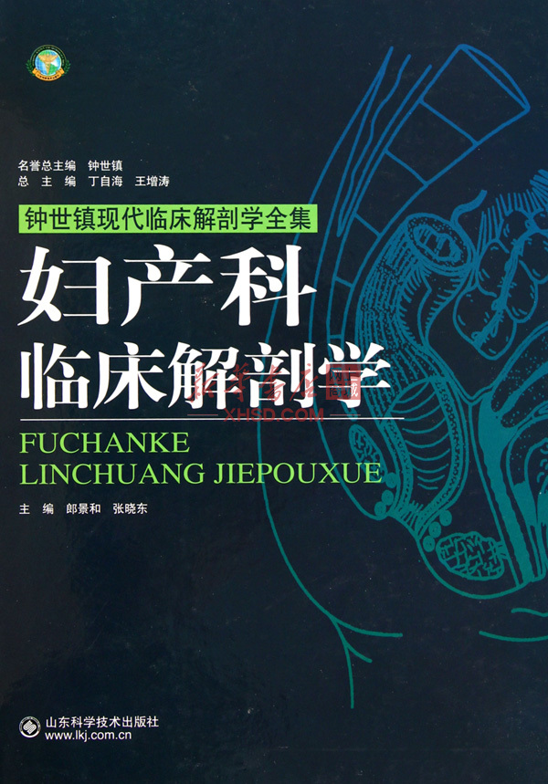《妇产科临床解剖学(钟世镇现代临床解剖学全集)(精)》【正版图书 折扣 优惠 详情 书评 试读】 - 新华书店网上商城