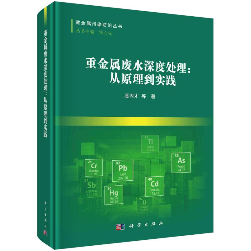 《重金属废水深度处理：从原理到实践 》